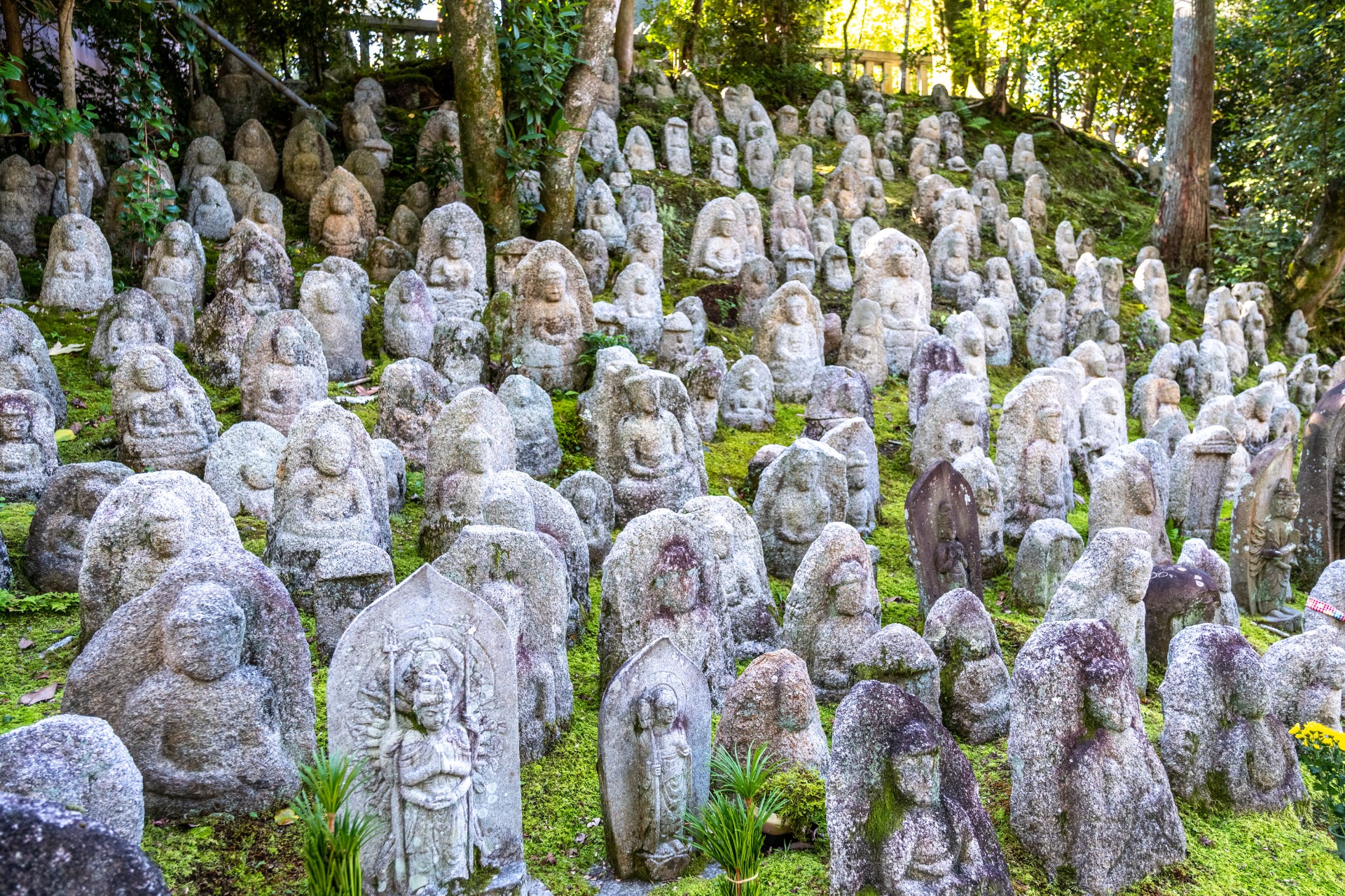 Japan - Image 4